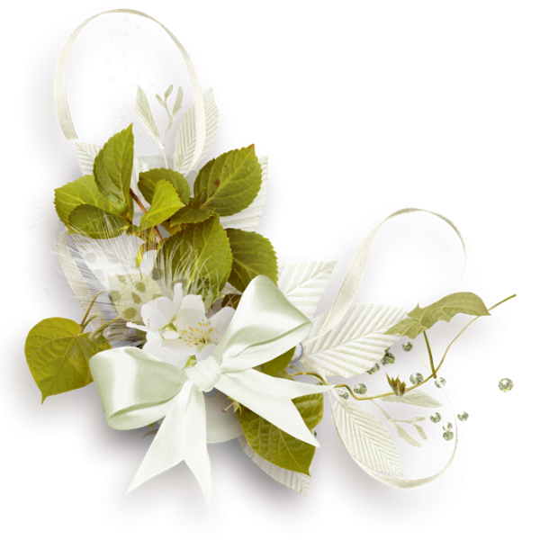 Украшение цветы к коллажу