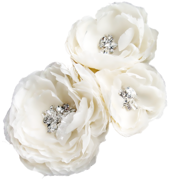 Украшения для невесты на прозрачном фоне