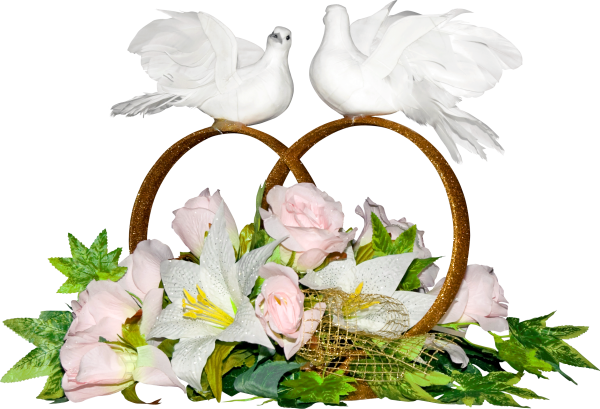 Свадебные голуби