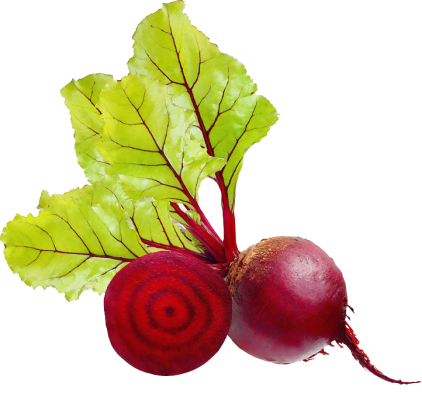 Свекла картинка