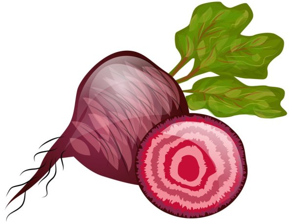 Свекла в разрезе для детей