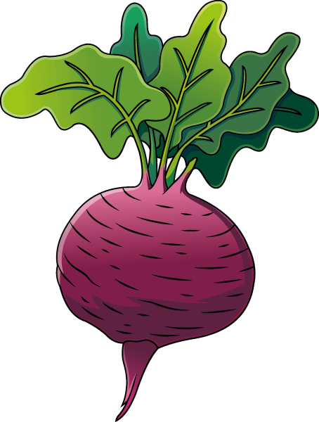 Свекла для дошкольников