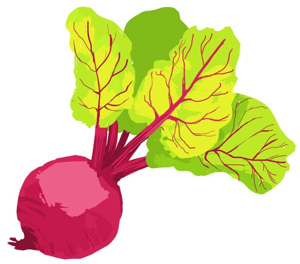 Свекла для детей