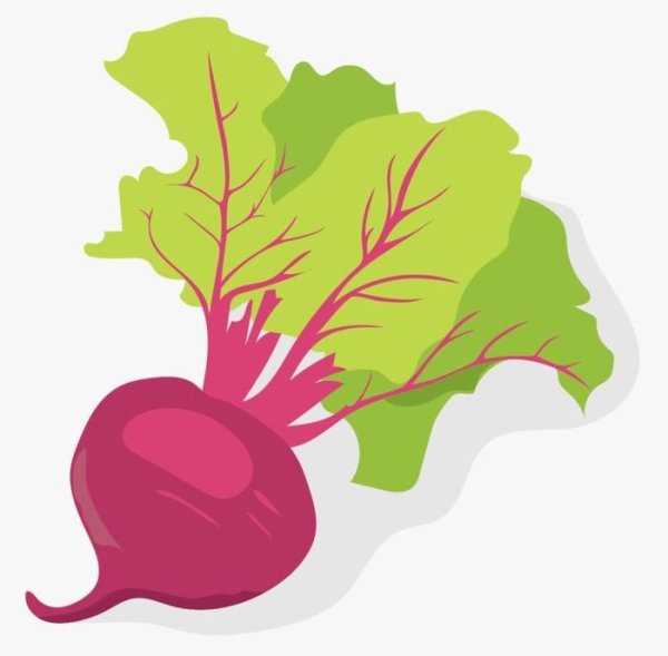 Свекла картинка для детей