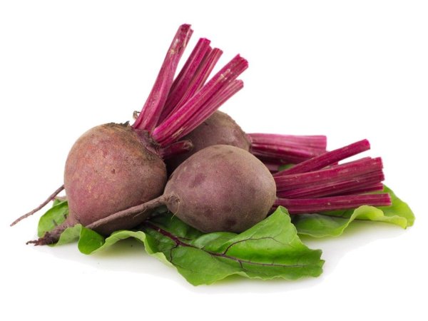 Свекла свежая