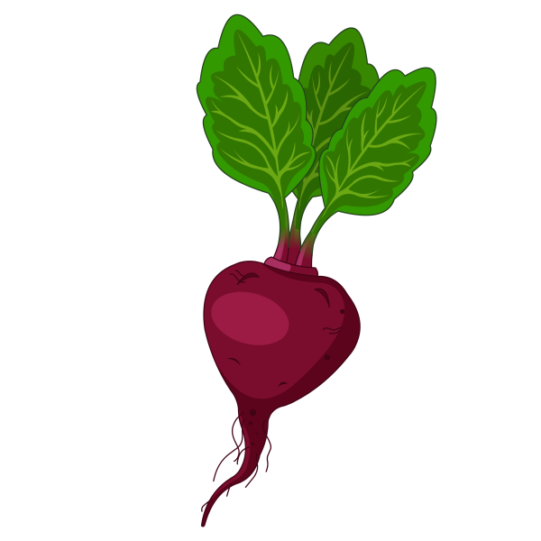 Свекла раздаточный материал для детей