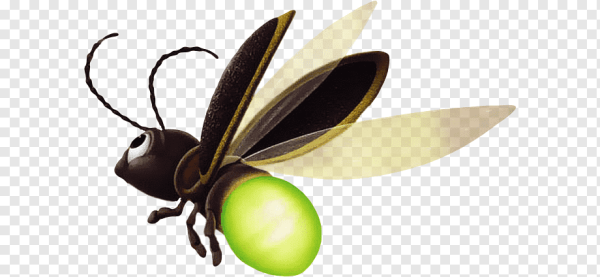 Светлячок из феи Динь