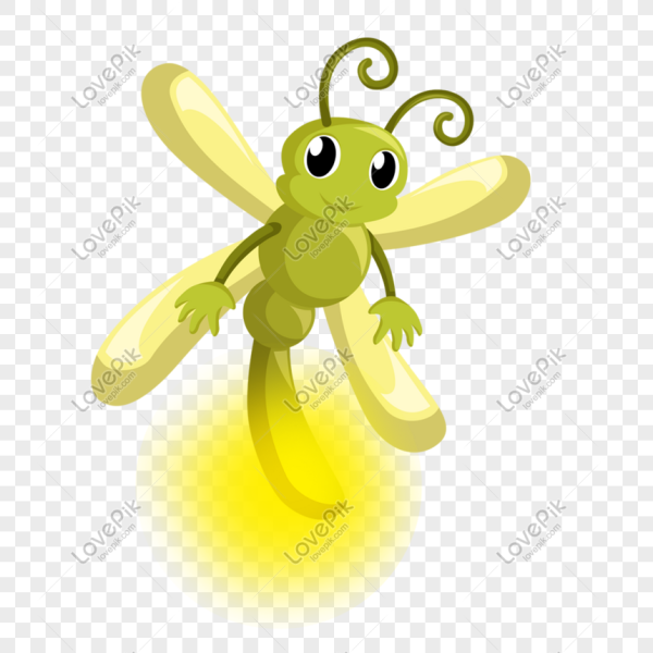 Светлячок на белом фоне