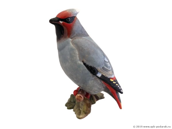 Без фона свиристели