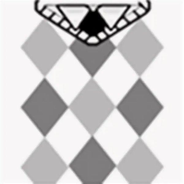 T-Shirt Roblox для девочек черные