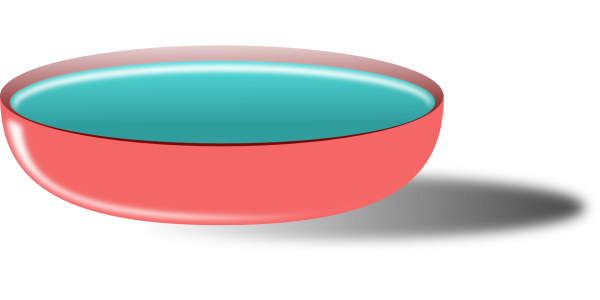 Тарелочка с водой