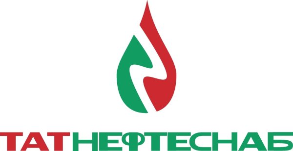 Логотип ТАТНЕФТЕСНАБ