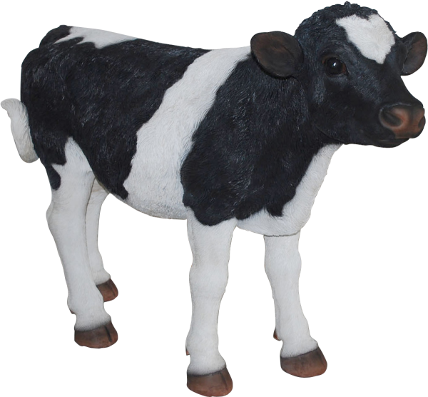 Теленок на прозрачном фоне