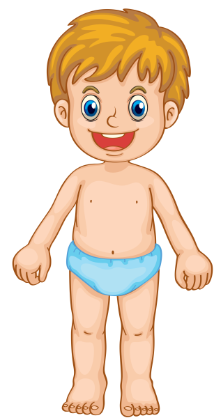 Мальчик части тела для детей