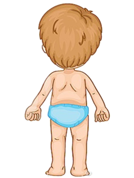 Тело мальчика для детей