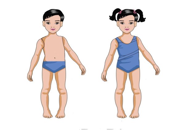 Человечек с частями тела для детей