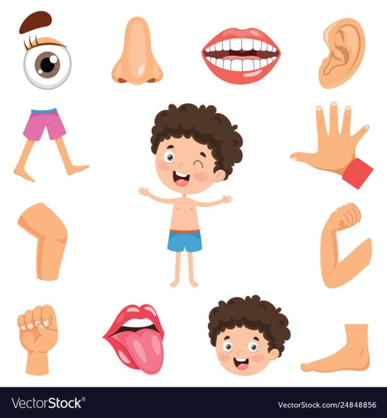 Мультяшное тело человека