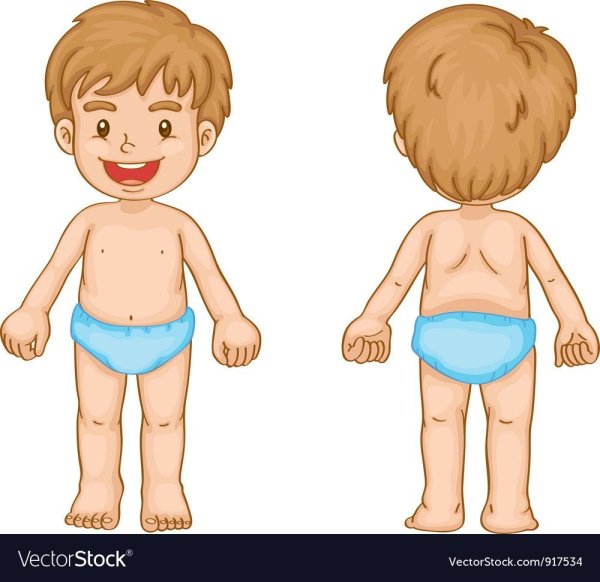 Тело человека для малышей