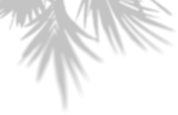 Тень от листьев без фона