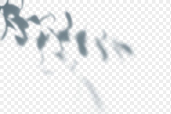 Тень от ветки