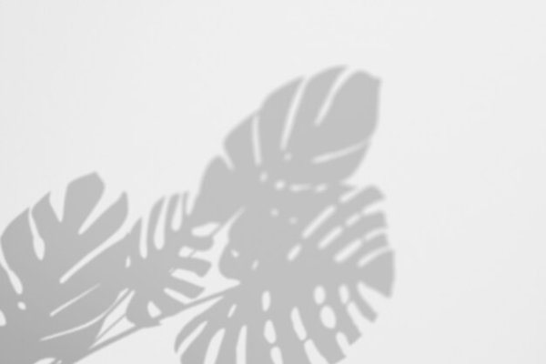 Тень от листьев