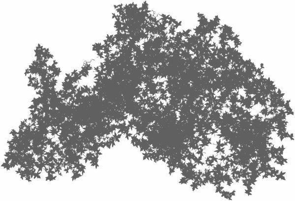 Тень от деревьев листва