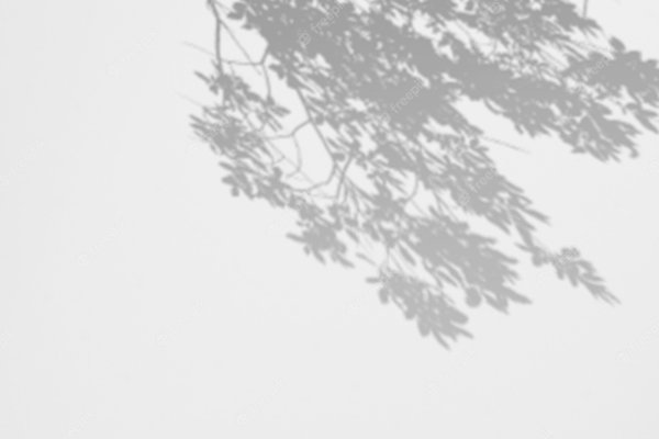 Тень от листьев без фона