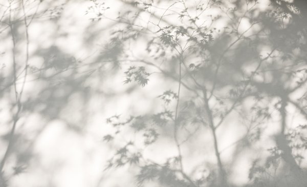 Тень от листвы