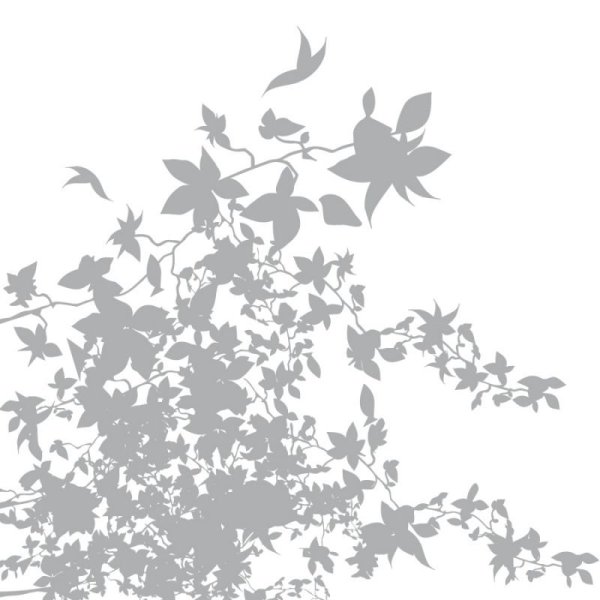 Тень от листвы без фона