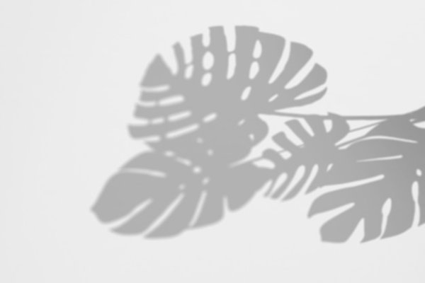 Тень от тропических листьев