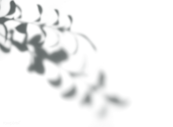 Тень от листвы фотошоп