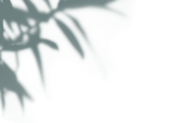 Растения для тени