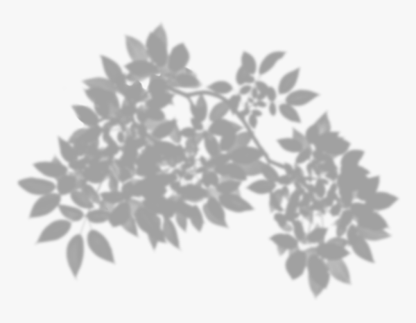 Тень от листвы фотошоп