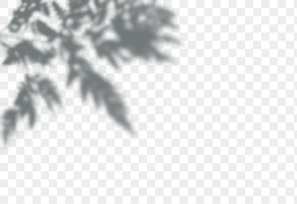 Тень от листвы