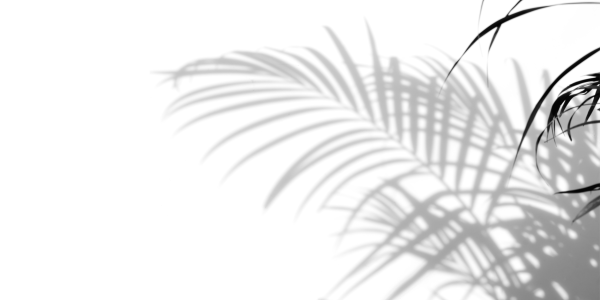 Тень от пальмы на белом фоне