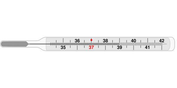 Медицинский градусник ртутный шкала