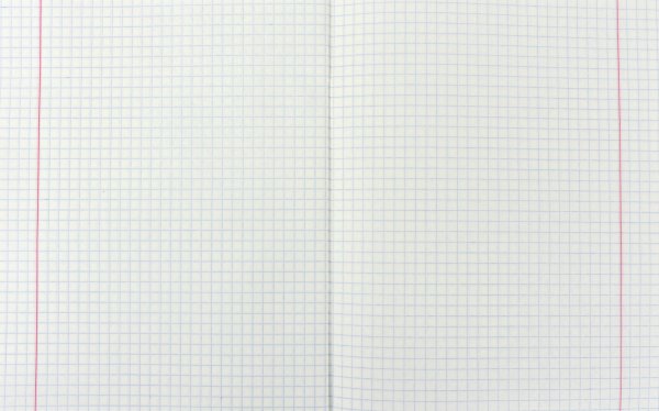 Скан тетрадного листа в клетку а5