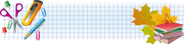 Школьный фон в клеточку