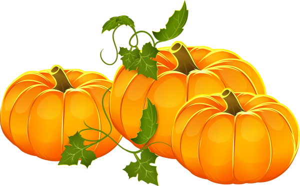 Тыква на прозрачном фоне