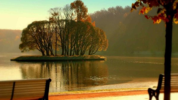 Природа умиротворение и спокойствие