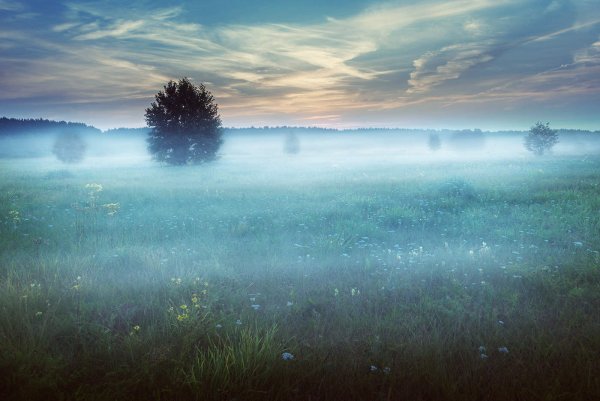 Утро безмятежность