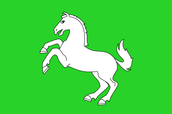 Флаг с конем