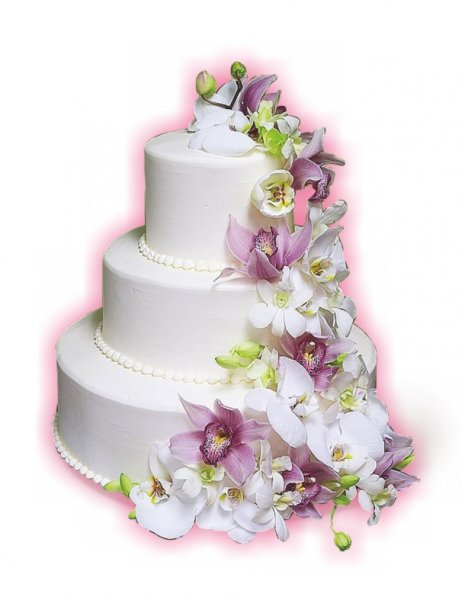 Торт на белом фоне