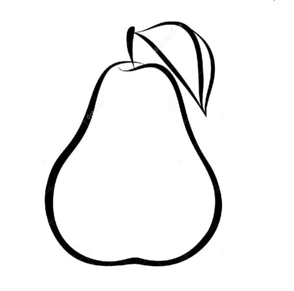 Груша контур