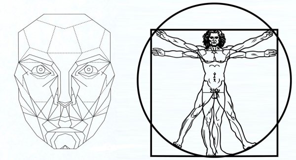 Идеальные пропорции лица золотое сечение
