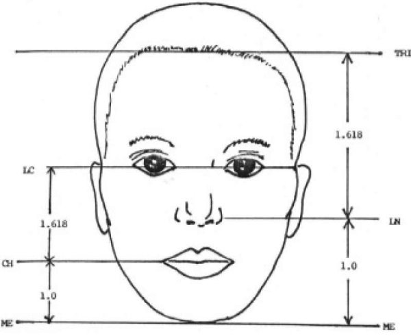 Золотое сечение в пропорциях лица человека