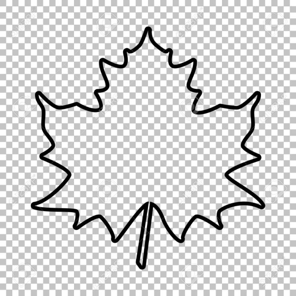 Кленовый лист контур на прозрачном фоне