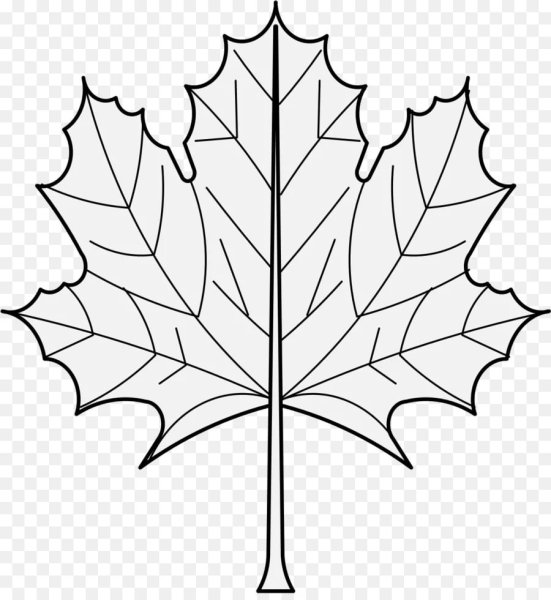 Лист клена раскраска