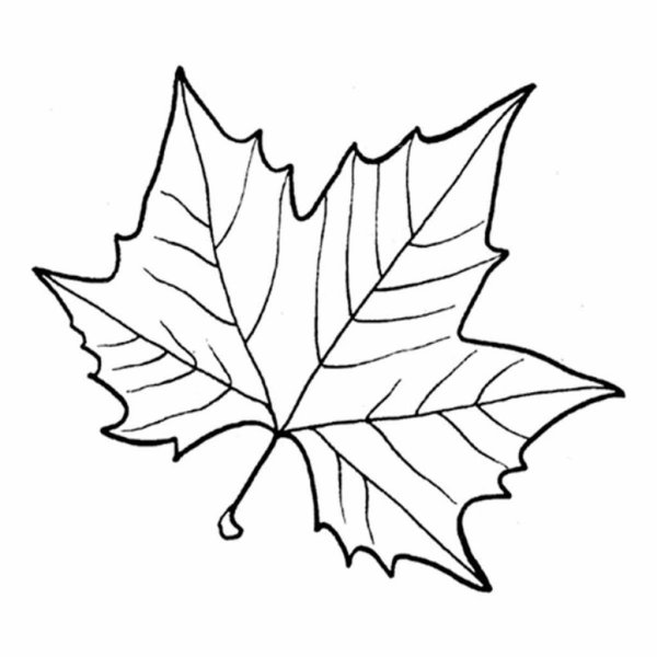 Трафареты кленовых листьев