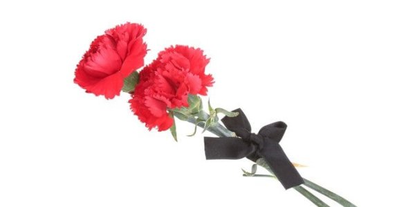 Траурные гвоздики